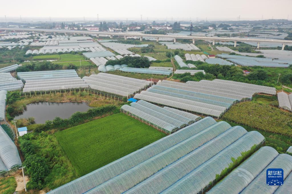 银河网址链接